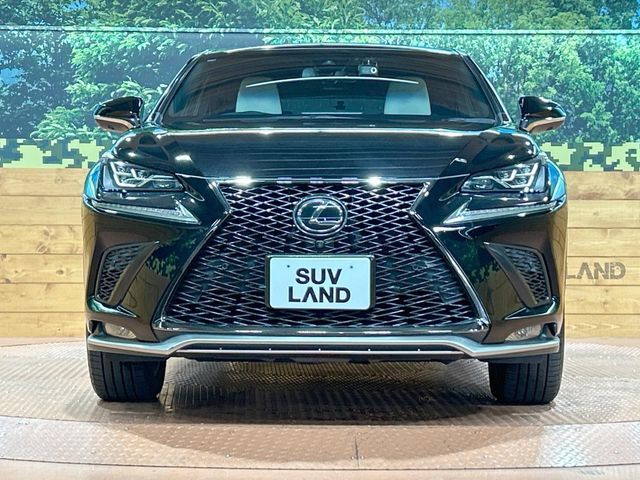 TOYOTA LEXUS NX300 2018 Image 31