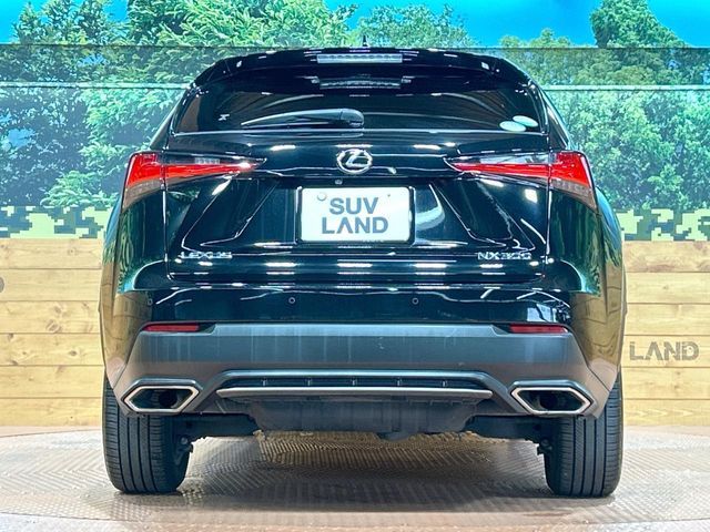 TOYOTA LEXUS NX300 2018 Image 31