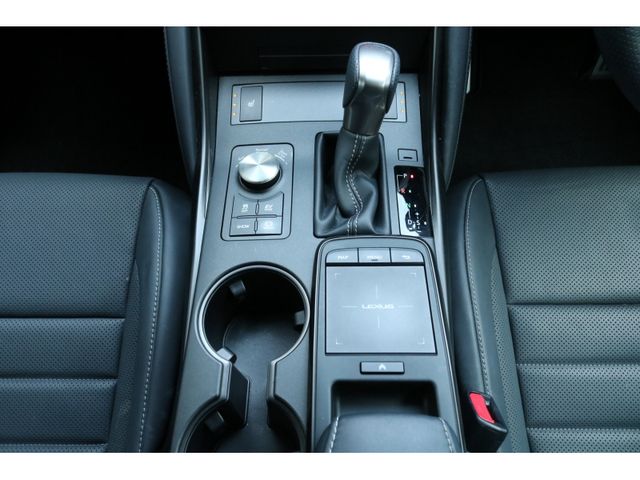 TOYOTA LEXUS IS300H 2021 Image 31