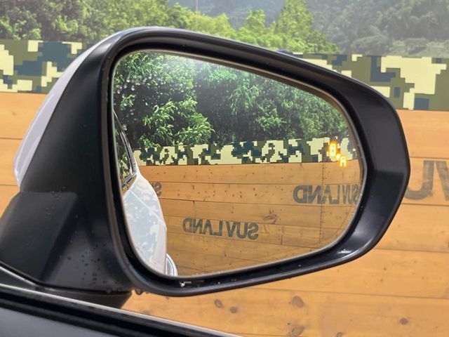 TOYOTA LEXUS NX300H 2019 Image 31