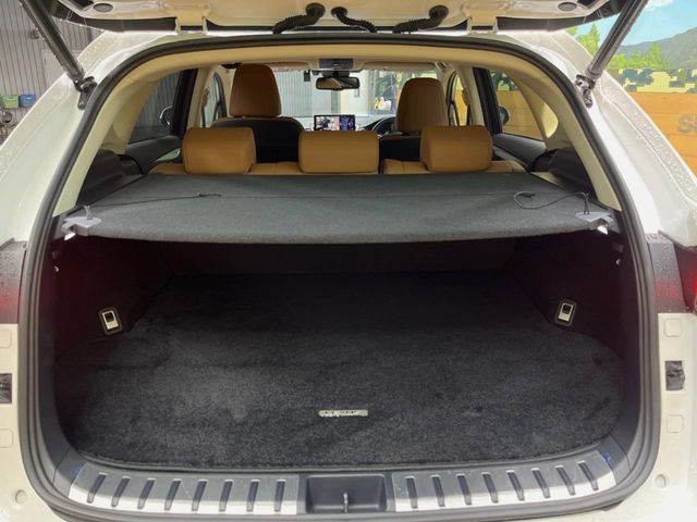 TOYOTA LEXUS NX300H 2019 Image 31