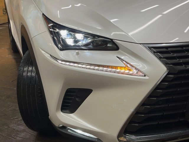 TOYOTA LEXUS NX300H 2019 Image 31