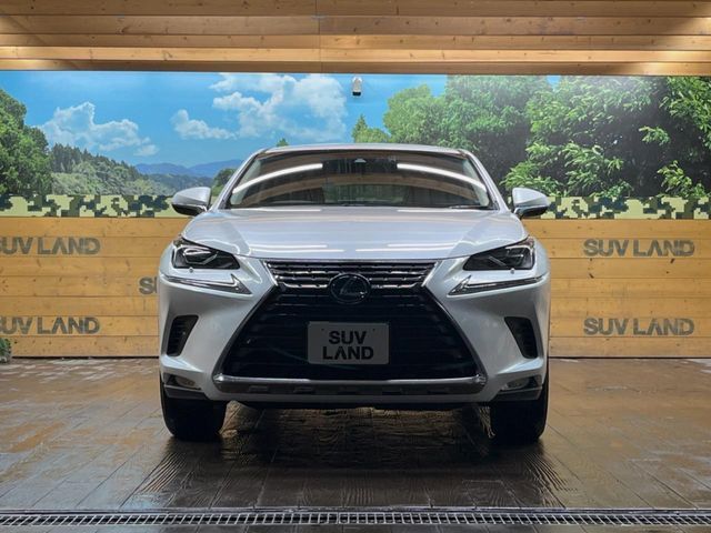 TOYOTA LEXUS NX300H 2019 Image 31
