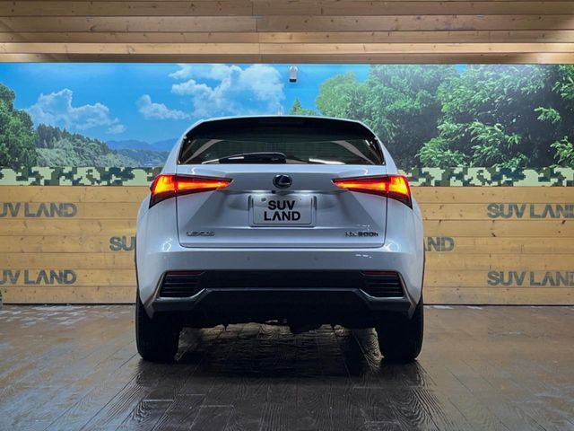 TOYOTA LEXUS NX300H 2019 Image 31