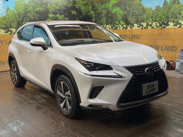 TOYOTA LEXUS NX300H 2019 Image 31