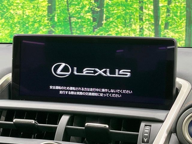 TOYOTA LEXUS NX300H 2019 Image 31
