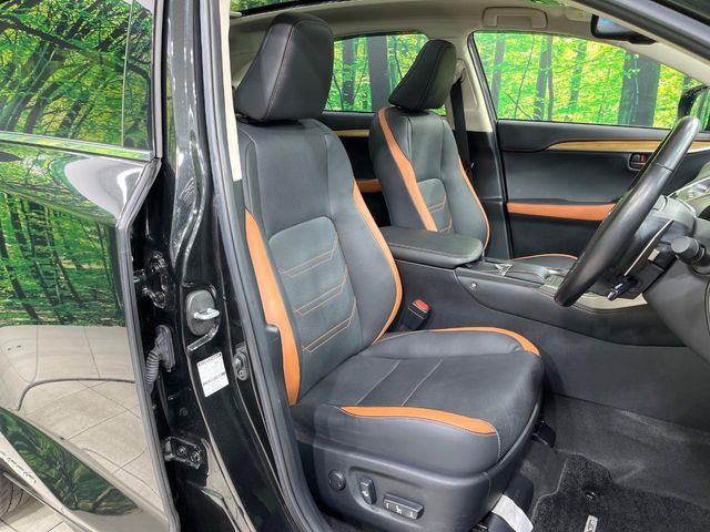 TOYOTA LEXUS NX300H 2019 Image 31