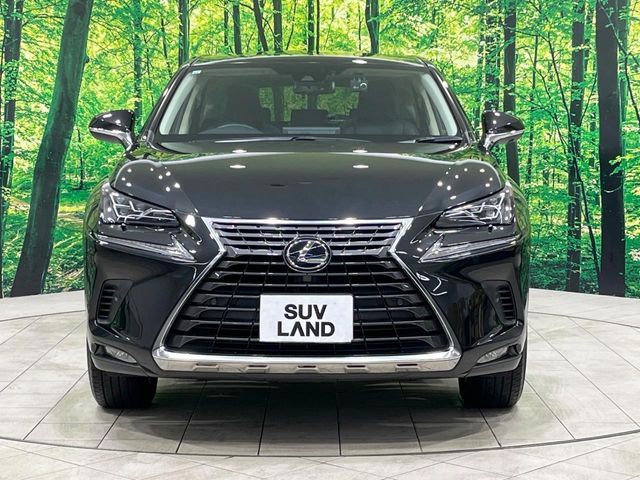 TOYOTA LEXUS NX300H 2019 Image 31