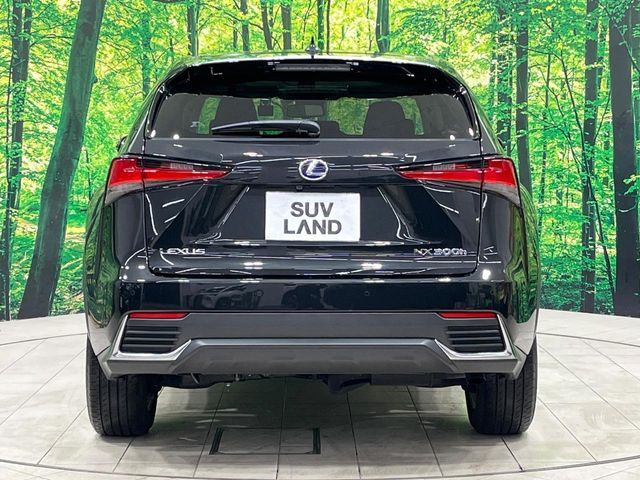 TOYOTA LEXUS NX300H 2019 Image 31