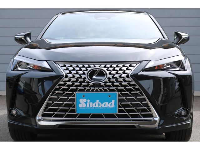 TOYOTA LEXUS UX300H 2025 Image 31