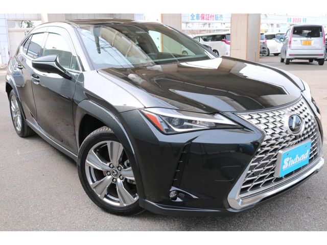 TOYOTA LEXUS UX300H 2025 Image 31