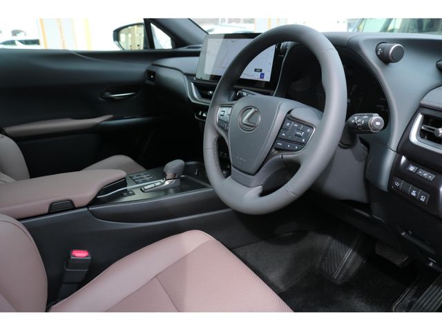 TOYOTA LEXUS UX300H 2025 Image 31