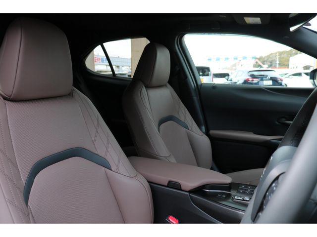 TOYOTA LEXUS UX300H 2025 Image 31