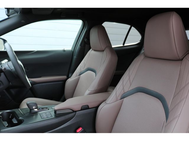 TOYOTA LEXUS UX300H 2025 Image 31