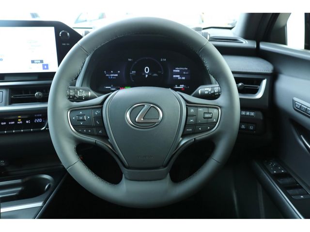 TOYOTA LEXUS UX300H 2025 Image 31