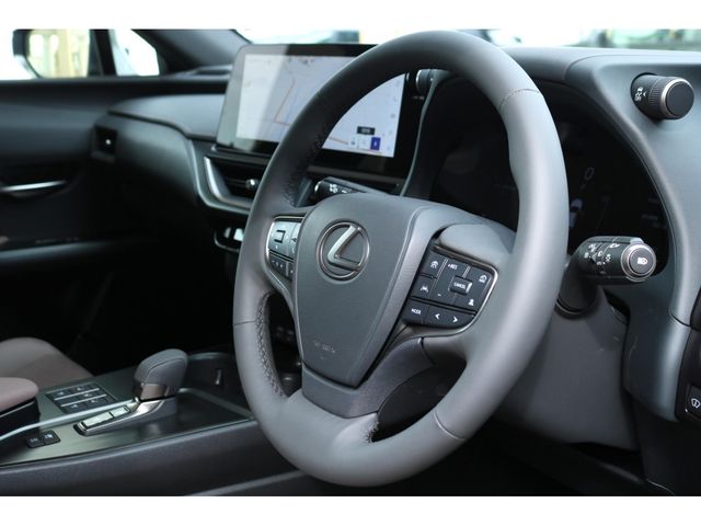 TOYOTA LEXUS UX300H 2025 Image 31