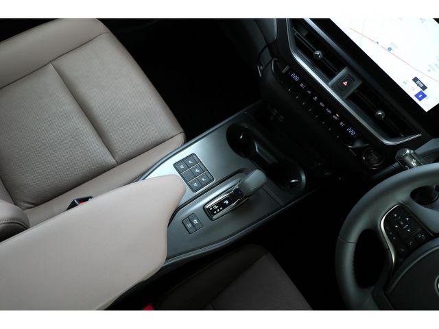 TOYOTA LEXUS UX300H 2025 Image 31