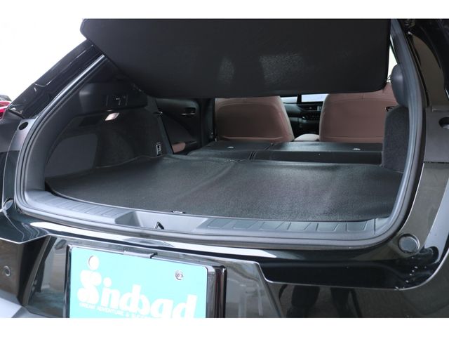 TOYOTA LEXUS UX300H 2025 Image 31