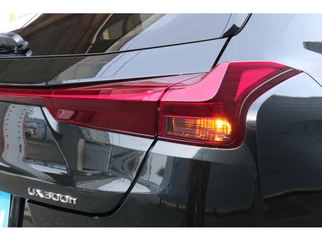 TOYOTA LEXUS UX300H 2025 Image 31