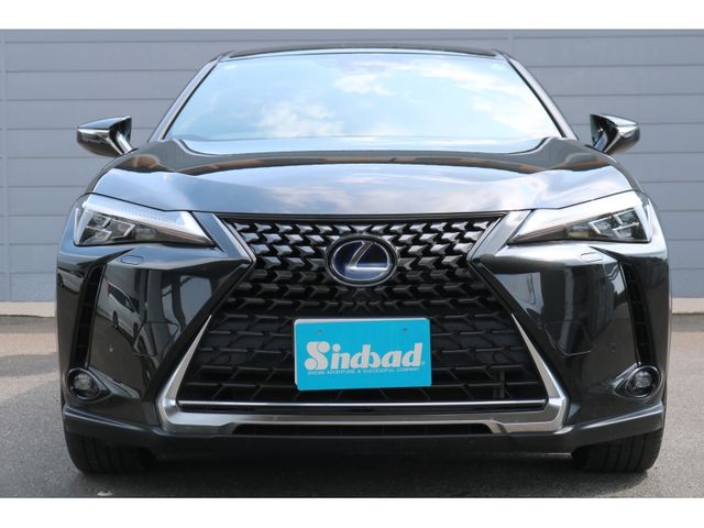 TOYOTA LEXUS UX250H 2018 Image 31