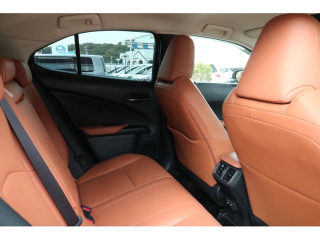 TOYOTA LEXUS UX250H 2018 Image 31