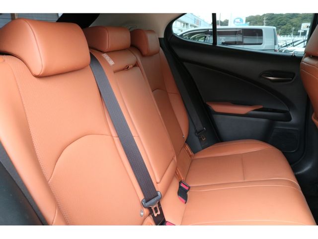 TOYOTA LEXUS UX250H 2018 Image 31