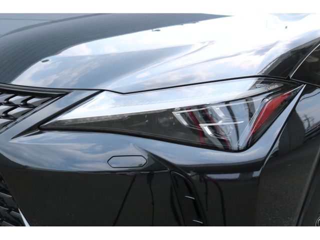 TOYOTA LEXUS UX250H 2018 Image 31