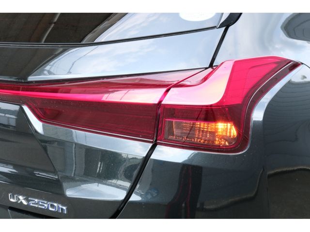 TOYOTA LEXUS UX250H 2018 Image 31