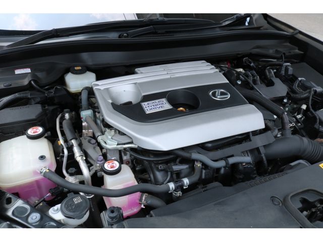 TOYOTA LEXUS UX250H 2018 Image 31