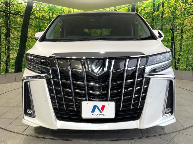 TOYOTA ALPHARD 2019 Image 31