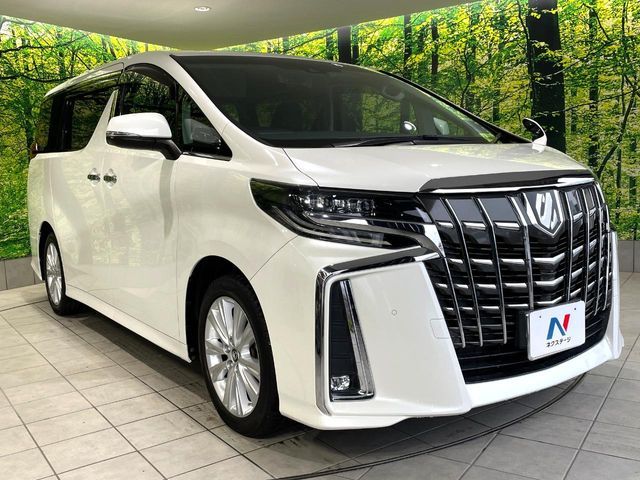 TOYOTA ALPHARD 2019 Image 31