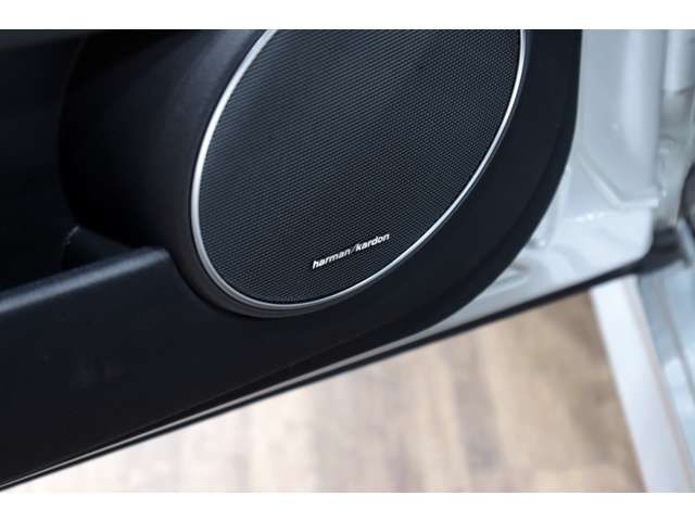 AMG C CLASS STATIONW 2011 Image 31