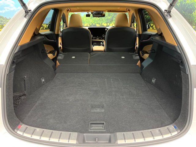 TOYOTA LEXUS NX250 2023 Image 31