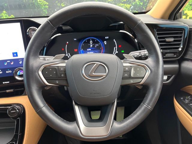 TOYOTA LEXUS NX250 2023 Image 31
