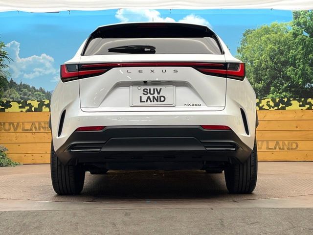 TOYOTA LEXUS NX250 2023 Image 31