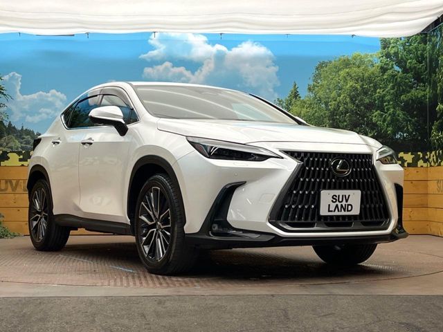 TOYOTA LEXUS NX250 2023 Image 31