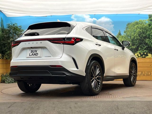 TOYOTA LEXUS NX250 2023 Image 31