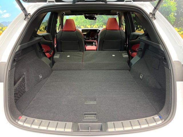 TOYOTA LEXUS NX350H 2023 Image 31