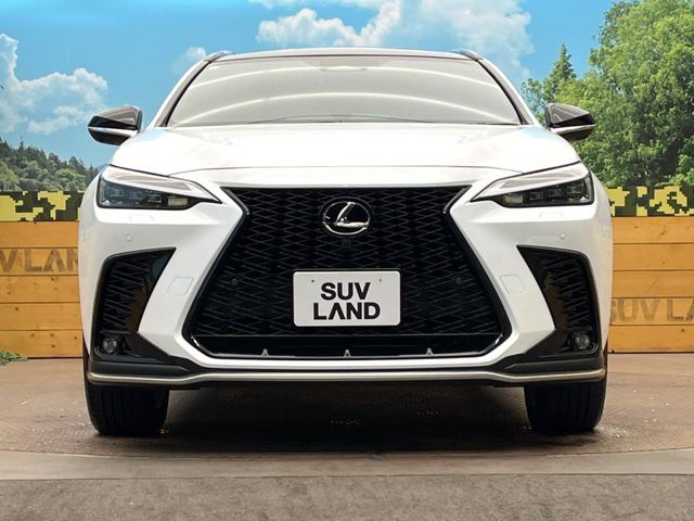 TOYOTA LEXUS NX350H 2023 Image 31