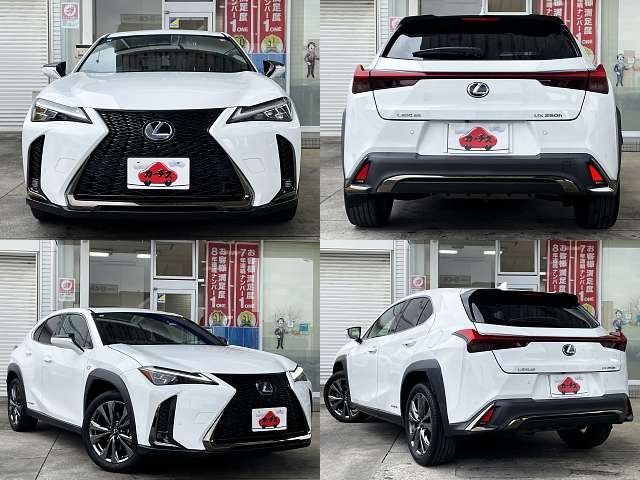 TOYOTA LEXUS UX250H 2021 Image 31