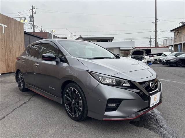 NISSAN LEAF 2019 Image 31