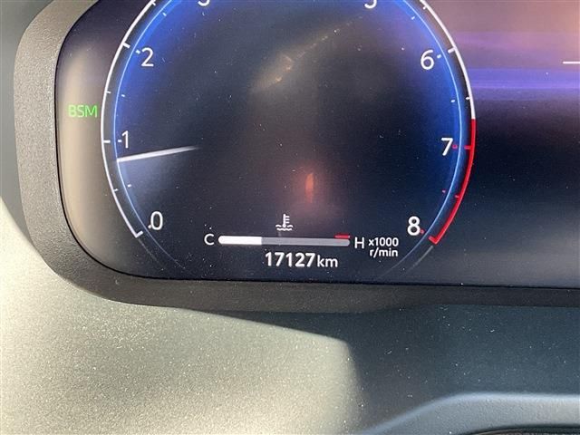 TOYOTA RAV4 4WD 2024 Image 31