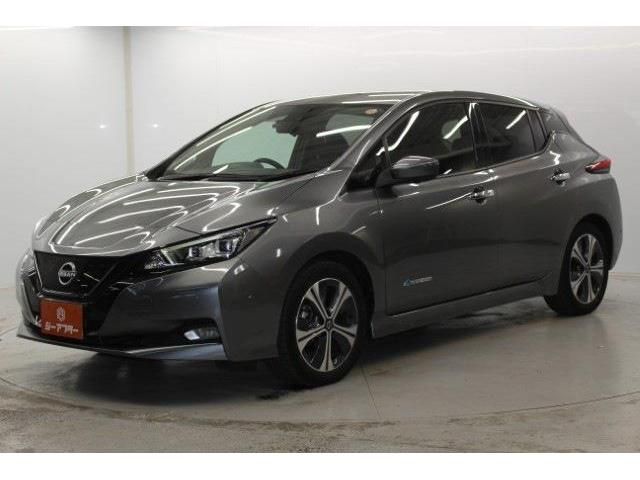 NISSAN LEAF 2022 Image 31