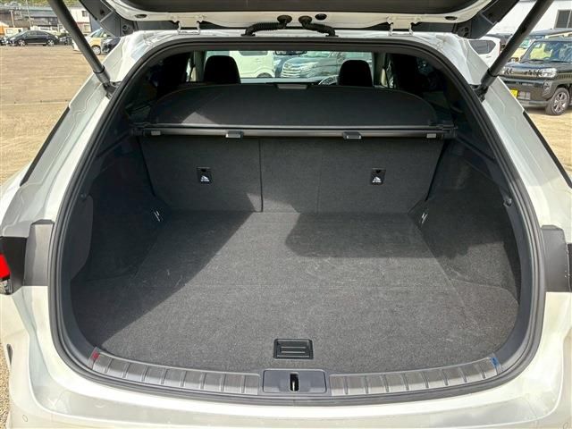 TOYOTA LEXUS RX350H 2023 Image 31