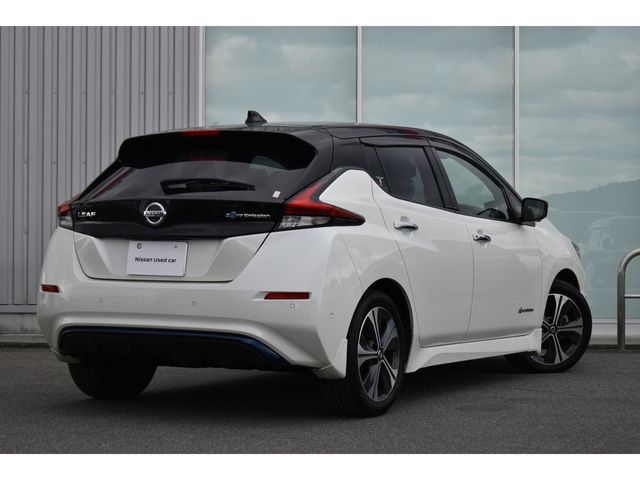 NISSAN LEAF 2020 Image 31