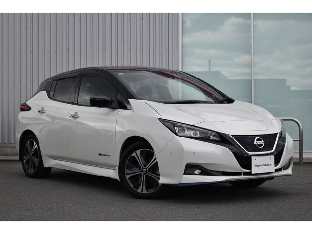 NISSAN LEAF 2020 Image 31