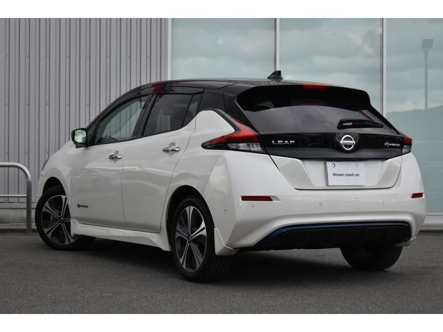 NISSAN LEAF 2020 Image 31