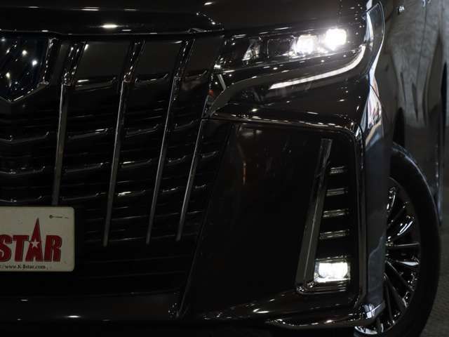 TOYOTA ALPHARD HYBRID 4WD 2019 Image 31