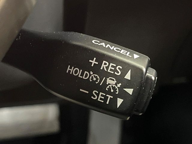 TOYOTA LEXUS RX450HL AWD 2019 Image 31