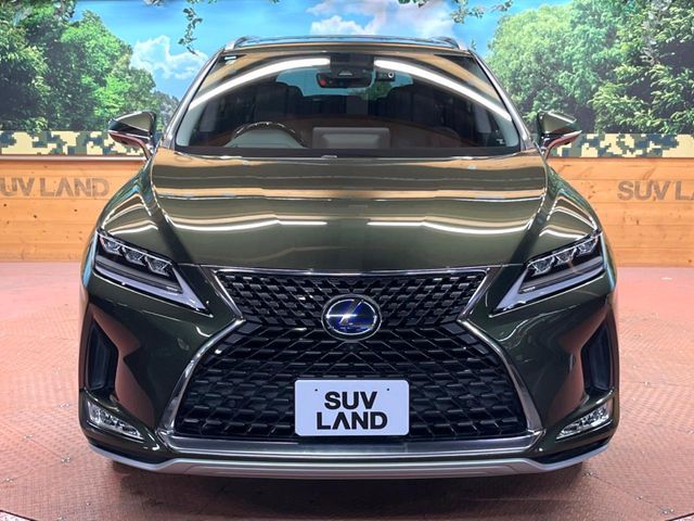TOYOTA LEXUS RX450HL AWD 2019 Image 31